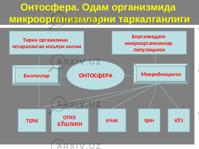 Онтосфера. Одам организмида микроорганизмларни таркалганлиги Тирик организмни чегараланган маълум кисми Биргаликдаги микроорганизмлар популяцияси Биотоплар Микробиоценоз ОНТОС ф ЕРА Қ ИНИЧАКОГИЗ Б Ў ШЛИ Ғ ИТЕРИ К Ў З 