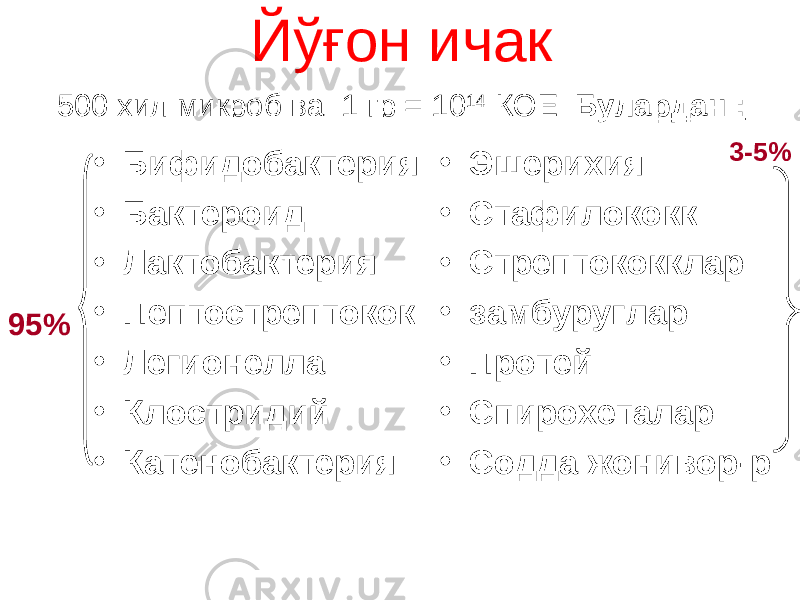 Й ўғ он ичак • Бифидобактерия • Бактероид • Лактобактерия • Пептострептокок • Легионелла • Клостридий • Катенобактерия • Эшерихия • Стафилококк • Стрептококклар • замбуруглар • Протей • Спирохеталар • Содда жонивор - р500 хил микроб ва 1 гр = 10 14 КОЕ Булардан : 95% 3-5% 