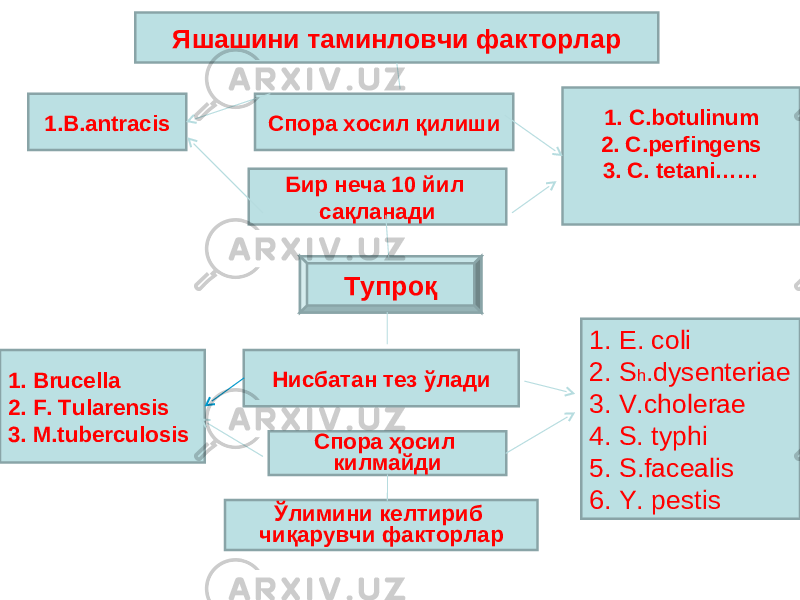 Яшашини таминловчи факторлар Тупроқ 1. Brucella 2. F. Tularensis 3. M.tuberculosis 1. B.antracis Спора хосил қилиши 1. E. coli 2. S h .dysenteriae 3. V.cholerae 4. S. typhi 5. S.face а lis 6. Y. pestisНисбатан тез ўлади Спора ҳосил килмайди 1. C.botulinum 2. C.perfingens 3. C. tetani…… Бир неча 10 йил сақланади Ўлимини келтириб чиқарувчи факторлар 