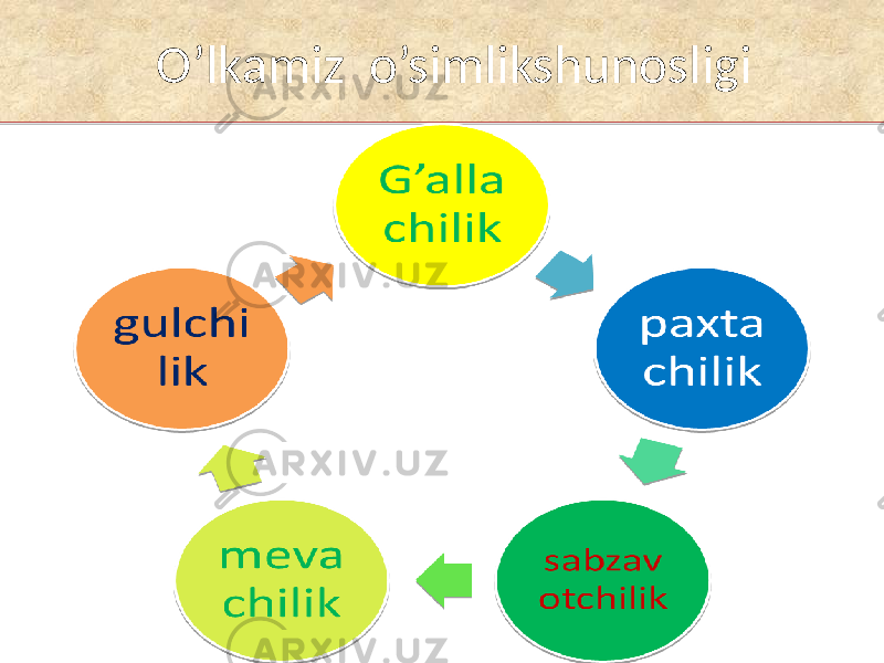  O’lkamiz o’simlikshunosligi 