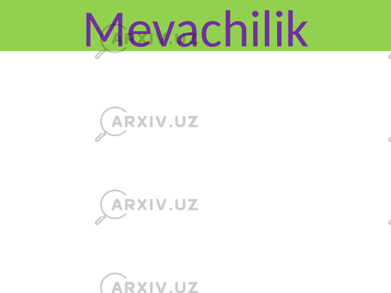 Mevachilik 