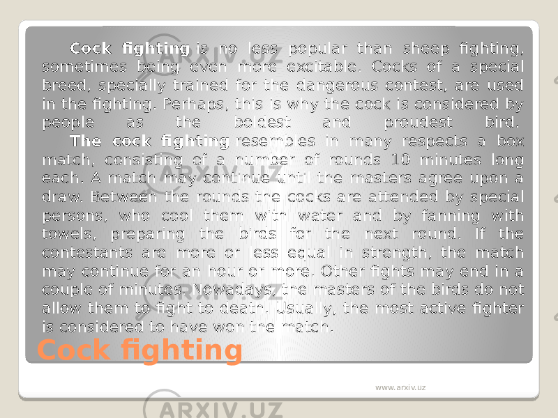 Cock fighting  Cock fighting  is no less popular than sheep fighting, sometimes being even more excitable. Cocks of a special breed, specially trained for the dangerous contest, are used in the fighting. Perhaps, this is why the cock is considered by people as the boldest and proudest bird.  The cock fighting  resembles in many respects a box match, consisting of a number of rounds 10 minutes long each. A match may continue until the masters agree upon a draw. Between the rounds the cocks are attended by special persons, who cool them with water and by fanning with towels, preparing the birds for the next round. If the contestants are more or less equal in strength, the match may continue for an hour or more. Other fights may end in a couple of minutes. Nowadays, the masters of the birds do not allow them to fight to death. Usually, the most active fighter is considered to have won the match. www.arxiv.uz 