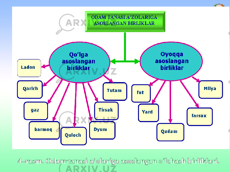 4–rasm. Odam tanasi a’olariga asoslangan o‘lchash birliklari. 