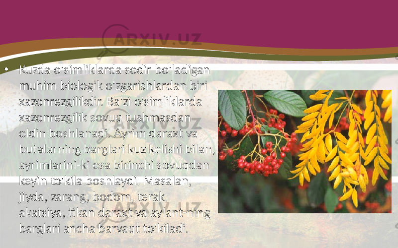 • Kuzda o&#39;simliklarda sodir bo&#39;ladigan muhim biologik o&#39;zgarishlardan biri xazonrezgilikdir. Ba&#39;zi o&#39;simliklarda xazonrezgilik sovuq tushmasdan oldin boshlanadi. Ayrim daraxt va butalarning barglari kuz kelishi bilan, ayrimlarini-ki esa birinchi sovuqdan keyin to&#39;kila boshlaydi. Masalan, jiyda, zarang, bodom, terak, akatsiya, tikan daraxt va aylant-ning barglari ancha barvaqt to&#39;kiladi. 