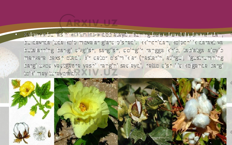 • Xalqimiz bu faslni «0ltin kuz» deb ataydi. Buning boisi shundaki, birinchidan, bu davrda juda ko&#39;p mevalar g&#39;arq pishadi. Ikkinchidan, ko&#39;pchilik daraxt va butalarning bar-gi qizg&#39;ish, sarg&#39;ish, qo&#39;ng&#39;ir rangga kirib, tabiatga ajoyib manzara baxsh etadi. Bir qator o&#39;simliklar (nastarin, atirgul, ligustrumning bargi uzoq vaqtgacha yashil rangini saqlaydi, hatto qish iliq kelganda bargi to&#39;kilmay turaveradi. 