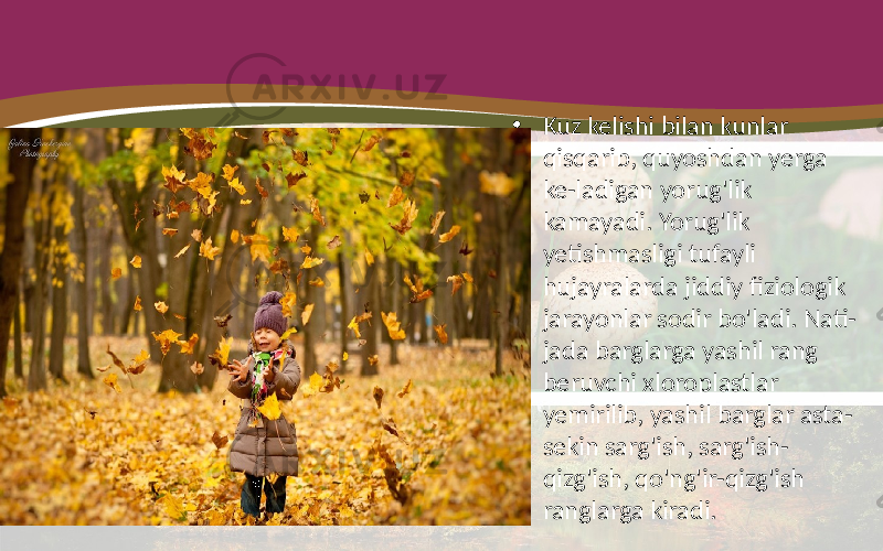 • Kuz kelishi bilan kunlar qisqarib, quyoshdan yerga ke-ladigan yorug&#39;lik kamayadi. Yorug&#39;lik yetishmasligi tufayli hujayralarda jiddiy fiziologik jarayonlar sodir bo&#39;ladi. Nati- jada barglarga yashil rang beruvchi xloroplastlar yemirilib, yashil barglar asta- sekin sarg&#39;ish, sarg&#39;ish- qizg&#39;ish, qo&#39;ng&#39;ir-qizg&#39;ish ranglarga kiradi. 