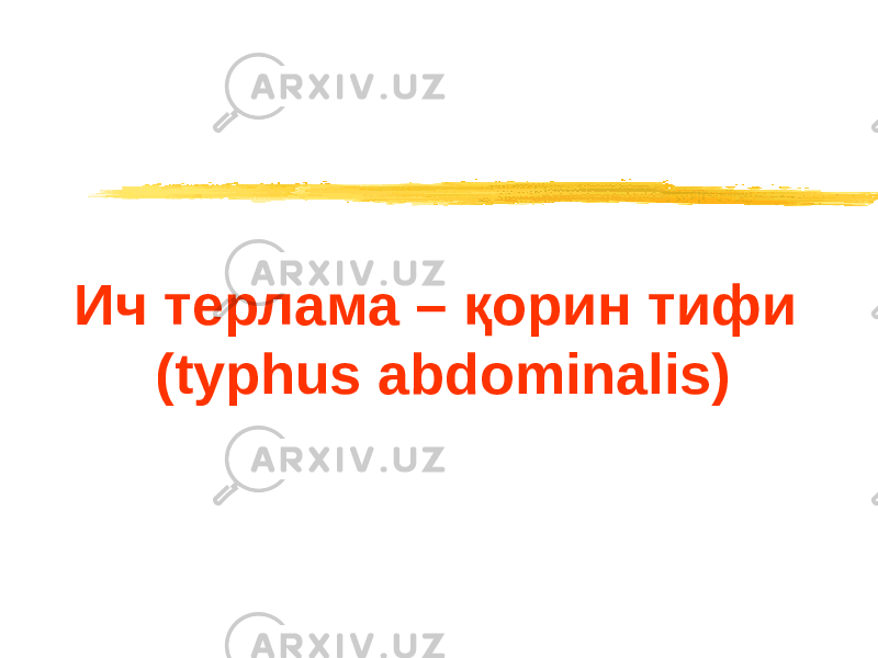 Ич терлама – қорин тифи ( typhus abdominalis) 