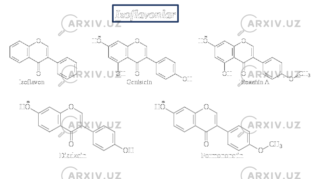 Izoflavonlar O O * O OO HH O O H * O OO HH O O C H3 I z o f l a v o n G e n i s t e i n B i o x a n i n A * O O H O O H * O O H O O C H 3 D ia d z ein F o rm o n o n e tin 
