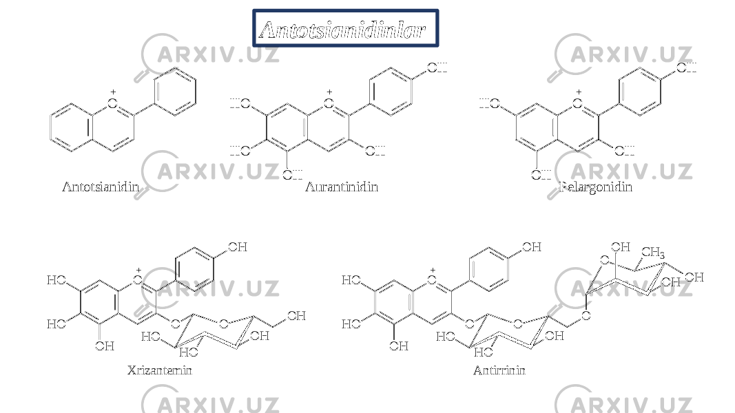 Antotsianidinlar O+ OH O H O O H O H O H + OH O O H O H O H + A n t o t s i a n i d i n A u r a n t i n i d i n P e l a r g o n i d i n OH O H O O H O O H O O H O H H OH O+ X r i z a n t e m i n OH O H O O H O O H O O O H H OH O O C H 3O H O H O H+ A n t i r r i n i n 