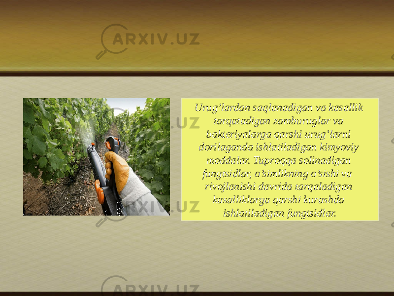 Urug’lardan saqlanadigan va kasallik tarqatadigan zamburuglar va bakteriyalarga qarshi urug’larni dоrilaganda ishlatiladigan kimyoviy mоddalar. Tuprоqqa sоlinadigan fungtsidlar, o’simlikning o’sishi va rivоjlanishi davrida tarqaladigan kasalliklarga qarshi kurashda ishlatiladigan fungtsidlar. 