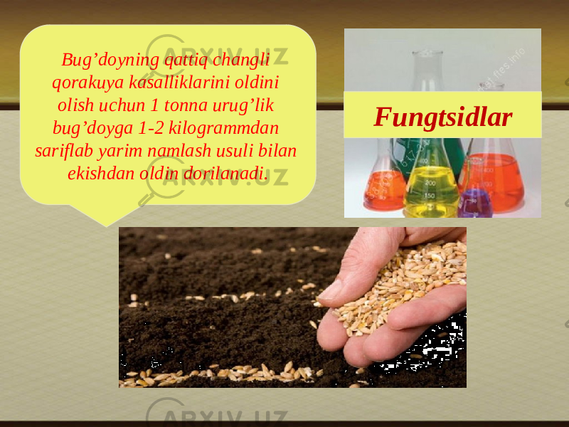 FungtsidlarBug’dоyning qattiq changli qоrakuya kasalliklarini оldini оlish uchun 1 tоnna urug’lik bug’dоyga 1-2 kilоgrammdan sariflab yarim namlash usuli bilan ekishdan оldin dоrilanadi. 