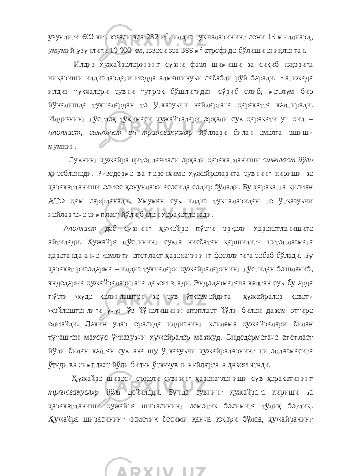 узунлиги 600 км, юзаси эса 232 м 2 , илдиз тукчаларининг сони 15 миллиард, умумий узунлиги 10   000 км, юзаси эса 399 м 2 атрофида бўлиши аниқланган. Илдиз ҳужайраларининг сувни фаол шимиши ва сиқиб юқорига чиқариши илдизлардаги модда алмашинуви сабабли рўй беради. Натижада илдиз тукчалари сувни тупроқ бўшлиғидан сўриб олиб, маълум бир йўналишда тукчалардан то ўтказувчи найларгача ҳаракатга келтиради. Илдизнинг пўстлоқ тўқимаси ҳужайралари орқали сув ҳаракати уч хил – апопласт, симпласт ва трансвакуоляр йўллари билан амалга ошиши мумкин. Сувнинг ҳужайра цитоплазмаси орқали ҳаракатланиши симпласт йўли ҳисобланади. Ризодерма ва паренхима ҳужайраларига сувнинг кириши ва ҳаракатланиши осмос қонунлари асосида содир бўлади. Бу ҳаракатга қисман АТФ ҳам сарфланади. Умуман сув илдиз тукчаларидан то ўтказувчи найларгача симпласт йўли билан ҳаракатланади. Апопласт деб сувнинг ҳужайра пўсти орқали ҳаракатланишига айтилади. Ҳужайра пўстининг сувга нисбатан қаршилиги цитоплазмага қараганда анча камлиги апопласт ҳаракатининг фаоллигига сабаб бўлади. Бу ҳаракат ризодерма – илдиз тукчалари ҳужайраларининг пўстидан бошланиб, эндодерма ҳужайраларигача давом этади. Эндодермагача келган сув бу ерда пўсти жуда қалинлашган ва сув ўтказмайдиган ҳужайралар қавати жойлашганлиги учун ўз йўналишини апопласт йўли билан давом эттира олмайди. Лекин улар орасида илдизнинг ксилема ҳужайралари билан туташган махсус ўтказувчи ҳужайралар мавжуд. Эндодермагача апопласт йўли билан келган сув ана шу ўтказувчи ҳужайраларнинг цитоплазмасига ўтади ва симпласт йўли билан ўтказувчи найларгача давом этади. Ҳужайра шираси орқали сувнинг ҳаракатланиши сув ҳаракатининг трансвакуоляр йўли дейилади. Бунда сувнинг ҳужайрага кириши ва ҳаракатланиши ҳужайра ширасининг осмотик босимига тўлиқ боғлиқ. Ҳужайра ширасининг осмотик босими қанча юқори бўлса, ҳужайранинг 