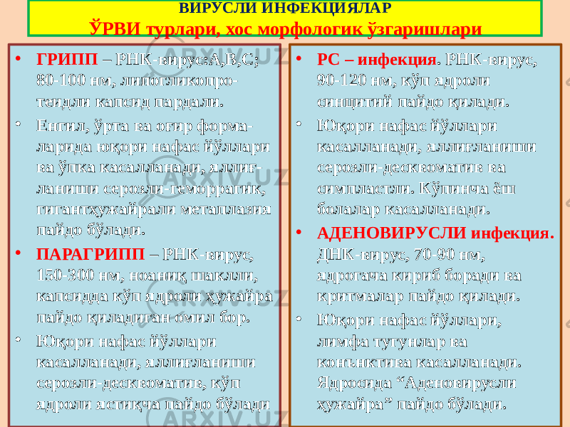 • ГРИПП – РНК-вирус:А,В,С; 80-100 нм, липогликопро- теидли капсид пардали. • Енгил, ўрта ва оғир форма- ларида юқори нафас йўллари ва ўпка касалланади, яллиғ- ланиши серозли-геморрагик, гигантҳужайрали метаплазия пайдо бўлади. • ПАРАГРИПП – РНК-вирус, 150-300 нм, ноаниқ шаклли, капсидда кўп ядроли ҳужайра пайдо қиладиган омил бор. • Юқори нафас йўллари касалланади, яллиғланиши серозли-десквоматив, кўп ядроли ястиқча пайдо бўлади • РС – инфекция . РНК-вирус, 90-120 нм, кўп ядроли синцитий пайдо қилади. • Юқори нафас йўллари касалланади, яллиғланиши серозли-десквоматив ва симпластли. Кўпинча ёш болалар касалланади. • АДЕНОВИРУСЛИ инфекция. ДНК-вирус, 70-90 нм, ядрогача кириб боради ва критмалар пайдо қилади. • Юқори нафас йўллари, лимфа тугунлар ва конънктива касалланади. Ядросида “Аденовирусли ҳужайра” пайдо бўлади.ВИРУСЛИ ИНФЕКЦИЯЛАР ЎРВИ турлари, хос морфологик ўзгаришлари 