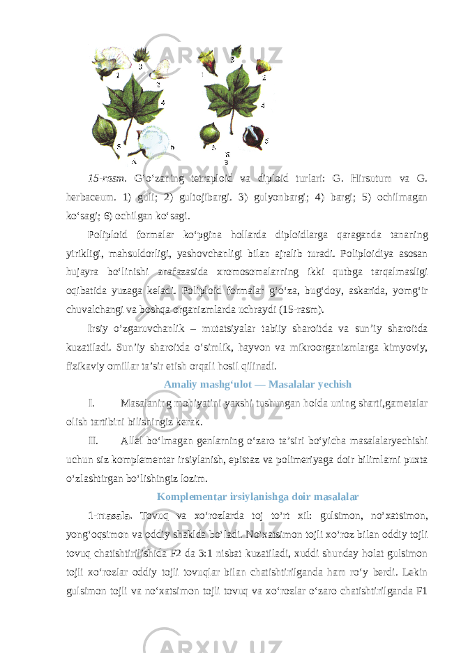 15-rasm. G‘o‘zaning tetraploid va diploid turlari: G. Hirsutum va G. herbaceum. 1) guli; 2) gultojibargi. 3) gulyonbargi; 4) bargi; 5) ochilmagan ko‘sagi; 6) ochilgan ko‘sagi. Poliploid formalar ko‘pgina hollarda diploidlarga qaraganda tananing yirikligi, mahsuldorligi, yashovchanligi bilan ajralib turadi. Poliploidiya asosan hujayra bo‘linishi anafazasida xromosomalarning ikki qutbga tarqalmasligi oqibatida yuzaga keladi. Poliploid formalar g‘o‘za, bug‘doy, askarida, yomg‘ir chuvalchangi va boshqa organizmlarda uchraydi (15-rasm). Irsiy o‘zgaruvchanlik – mutatsiyalar tabiiy sharoitda va sun’iy sharoitda kuzatiladi. Sun’iy sharoitda o‘simlik, hayvon va mikroorganizmlarga kimyoviy, fizikaviy omillar ta’sir etish orqali hosil qilinadi. Amaliy mashg‘ulot — Masalalar yechish I. Masalaning mohiyatini yaxshi tushungan holda uning sharti,gametalar olish tartibini bilishingiz kerak. II. Allel bo‘lmagan genlarning o‘zaro ta’siri bo‘yicha masalalaryechishi uchun siz komplementar irsiylanish, epistaz va polimeriyaga doir bilimlarni puxta o‘zlashtirgan bo‘lishingiz lozim. Komplementar irsiylanishga doir masalalar 1-masala. Tovuq va xo‘rozlarda toj to‘rt xil: gulsimon, no‘xatsimon, yong‘oqsimon va oddiy shaklda bo‘ladi. No‘xatsimon tojli xo‘roz bilan oddiy tojli tovuq chatishtirilishida F2 da 3:1 nisbat kuzatiladi, xuddi shunday holat gulsimon tojli xo‘rozlar oddiy tojli tovuqlar bilan chatishtirilganda ham ro‘y berdi. Lekin gulsimon tojli va no‘xatsimon tojli tovuq va xo‘rozlar o‘zaro chatishtirilganda F1 B 