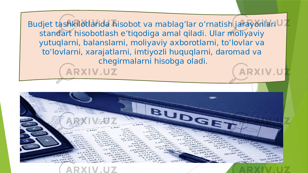 Budjet tashkilotlarida hisobot va mablag’lar o’rnatish jarayonlari standart hisobotlash e’tiqodiga amal qiladi. Ular moliyaviy yutuqlarni, balanslarni, moliyaviy axborotlarni, to’lovlar va to’lovlarni, xarajatlarni, imtiyozli huquqlarni, daromad va chegirmalarni hisobga oladi. 