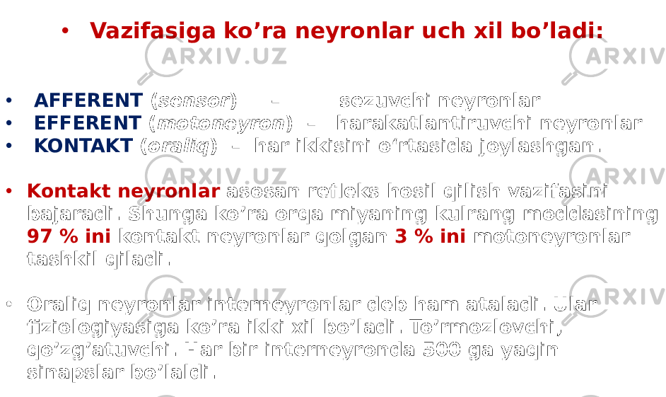 • Vazifasiga ko’ra neyronlar uch xil bo’ladi: • AFFERENT ( sensor ) – sezuvchi neyronlar • EFFERENT ( motoneyron ) – harakatlantiruvchi neyronlar • KONTAKT ( oraliq ) – har ikkisini o‘rtasida joylashgan. • Kontakt neyronlar asosan refleks hosil qilish vazifasini bajaradi. Shunga ko’ra orqa miyaning kulrang moddasining 97 % ini kontakt neyronlar qolgan 3 % ini motoneyronlar tashkil qiladi. • Oraliq neyronlar interneyronlar deb ham ataladi. Ular fiziologiyasiga ko’ra ikki xil bo’ladi. To’rmozlovchi, qo’zg’atuvchi. Har bir interneyronda 500 ga yaqin sinapslar bo’laldi. 