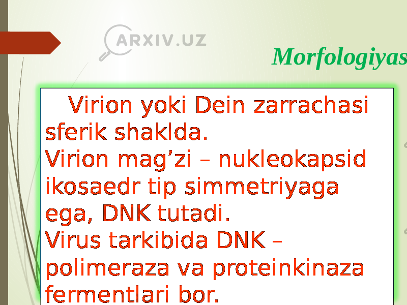  Virion yoki Dein zarrachasi sfеrik shaklda. Virion mag’zi – nukleokapsid ikosaedr tip simmetriyaga ega, DNK tutadi. Virus tarkibida DNK – polimeraza va proteinkinaza fermentlari bor. Morfologiyasi 