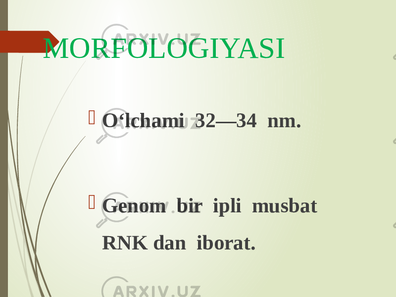 MORFOLOGIYASI  O‘lchami 32—34 nm.  Genom bir ipli musbat RNK dan iborat. 