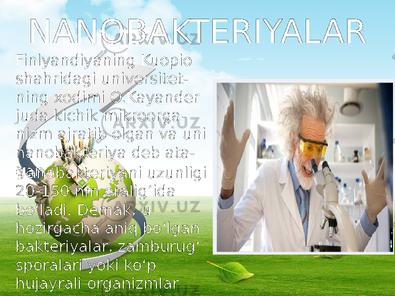 NANOBAKTERIYALAR Finlyandiyaning Kuopio shahridagi universitet - ning xodimi O.Kayander juda kichik mikroorga - nizm ajratib olgan va uni nanobakteriya deb ata - gan Nanobakteriyani uzunligi 20-150 nm oralig‘ida bo‘ladi. Demak, u hozirgacha aniq bo‘lgan bakteriyalar, zamburug‘ sporalari yoki ko‘p hujayrali organizmlar hujayralaridan ancha kichik. 