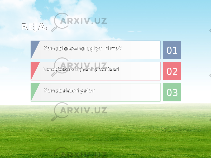 Nanobiotexnologiya nima? 01 Nanobiotexnologiyaning vazifalari 02 Nanobakteriyalar 03REJA : 