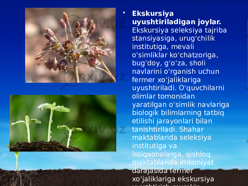 • Ekskursiya uyushtiriladigan joylar. Ekskursiya seleksiya tajriba stansiyasiga, urug‘chilik institutiga, mevali o‘simliklar ko‘chatzoriga, bug‘doy, g‘o‘za, sholi navlarini o‘rganish uchun fermer xo‘jaliklariga uyushtiriladi. O‘quvchilarni olimlar tomonidan yaratilgan o‘simlik navlariga biologik bilimlarning tatbiq etilishi jarayonlari bilan tanishtiriladi. Shahar maktablarida seleksiya institutiga va issiqxonalarga, qishloq maktablarida imkoniyat darajasida fermer xo‘jaliklariga ekskursiya uyushtirish mumkin. 