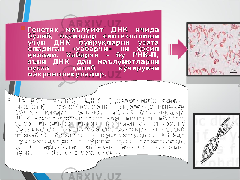  Генетик маълумот ДНК ичида бўлиб, оқсиллар синтезланиши учун ДНК буйруқларни узата оладиган «хабарчи» ни ҳосил қилади. Хабарчи - бу РНК-П, яъни ДНК дан маълумотларни нусха қилиб кўчирувчи макромолекуладир.  Шундай қилиб, ДНК (дезоксирибонуклеин кислота) - ҳужайраларнинг ядросида мавжуд бўлган юқори полимер табиий бирикмадир. ДНК молекуласи иккита узун ипчадан иборат, улар бир-бири билан иккиланган спиралга буралиб бирикади. Ҳар бир занжирнинг асосий таркибий бирлиги - нуклеотиддир. ДНКда нуклеотидларнинг тўртта тури ажратилади, улар таркибига кирувчи азотли асоснинг тузилиши билан фарқланади. 