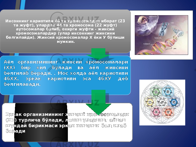 Инсоннинг кариотипи 46 та хромосомадан иборат (23 та жуфт), улардан 44 та хромосома (22 жуфт) аутосомалар бўлиб, охирги жуфти - жинсий хромосомалардир (улар инсоннинг жинсини белгилайди). Жинсий хромосомалар Х ёки У бўлиши мумкин. Аёл организмининг жинсий хромосомалари (ХХ) бир хил бўлади ва аёл жинсини белгилаб беради. . Мос холда аёл кариотипи 46ХХ, эркак кариотипи эса 46ХУ деб белгиланади. Эркак организмининг жинсий хромосомалари (ХУ) турлича бўлади, лекин уларнинг айнан шундай бирикмаси эркак жинсини белгилаб беради 