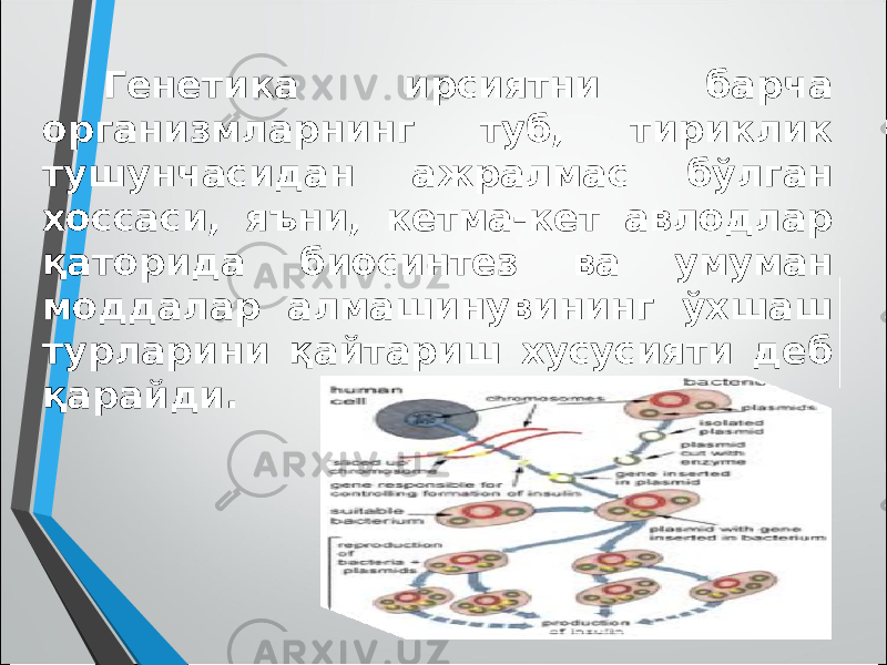 Генетика ирсиятни барча организмларнинг туб, тириклик тушунчасидан ажралмас бўлган хоссаси, яъни, кетма-кет авлодлар қаторида биосинтез ва умуман моддалар алмашинувининг ўхшаш турларини қайтариш хусусияти деб қарайди. 