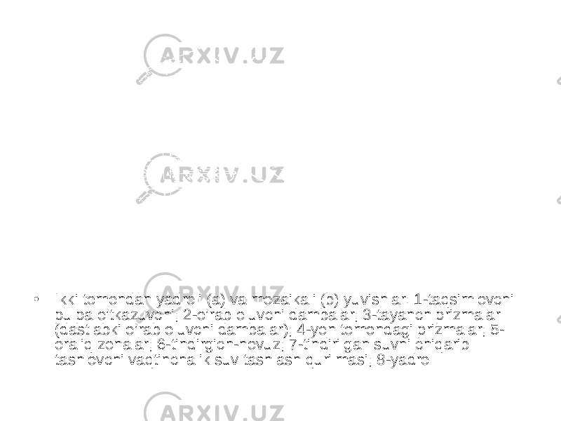 • Ikki tomondan yadroli (a) va mozaikali (b) yuvishlar: 1-taqsimlovchi pulpa o’tkazuvchi; 2-o’rab oluvchi dambalar; 3-tayanch prizmalar (dastlabki o’rab oluvchi dambalar); 4-yon tomondagi prizmalar; 5- oraliq zonalar; 6-tindirgich-hovuz; 7-tindirilgan suvni chiqarib tashlovchi vaqtinchalik suv tashlash qurilmasi; 8-yadro 