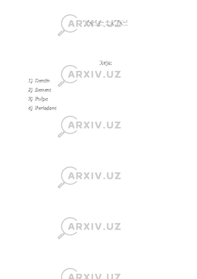 Tishlar tuzilishi Reja: 1) Dentin 2) Sement 3) Pulpa 4) Periodont 