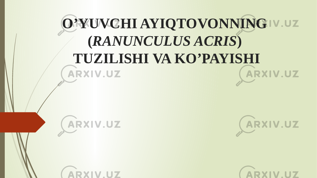 O’YUVCHI AYIQTOVONNING ( RANUNCULUS ACRIS ) TUZILISHI VA KO’PAYISHI 