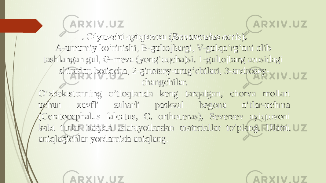 . O’yuvchi ayiqtovon ( Ranunculus acris ). A-umumiy ko’rinishi, B-gultojbargi, V-gulqo’rg’oni olib tashlangan gul, G-meva (yong’oqcha)si. 1-gultojbarg asosidagi shiradon botiqcha, 2-ginetsey-urug’chilari, 3-androsey- changchilar. O’zbekistonning o’tloqlarida keng tarqalgan, chorva mollari uchun xavfli zaharli paskval begona o’tlar-uchma (Ceratocephalus falcatus, C. orthoceras), Seversev ayiqtovoni kabi turlar haqida adabiyotlardan materiallar to’plang. Ularni aniqlagichlar yordamida aniqlang.   