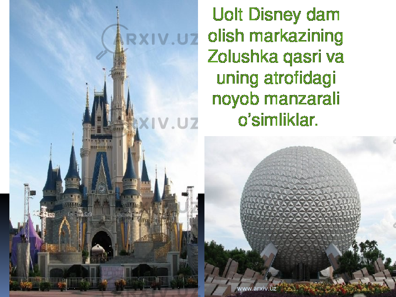 Uolt Disney dam olish markazining Zolushka qasri va uning atrofidagi noyob manzarali o’simliklar. www.arxiv.uz 