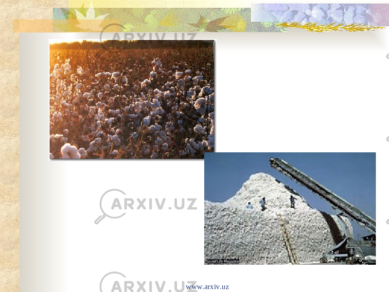 www.arxiv.uz 