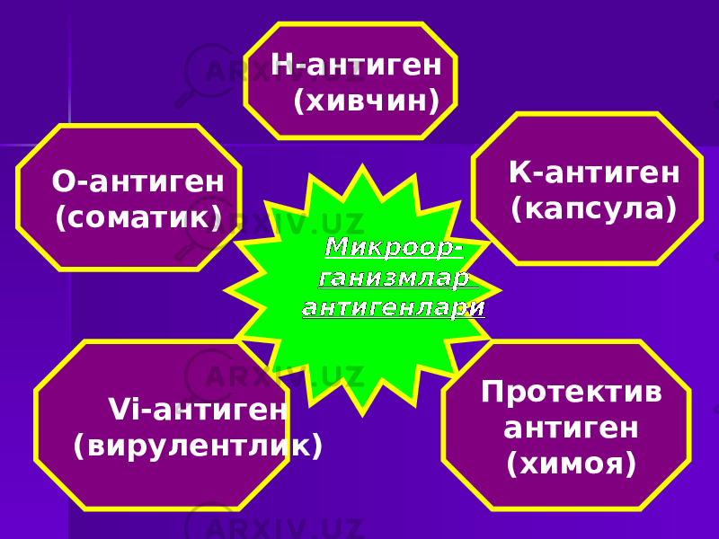 Микроор- ганизмлар антигенлари О-антиген (соматик) Vi-антиген (вирулентлик) Н-антиген (хивчин) К-антиген (капсула) Протектив антиген (химоя) 