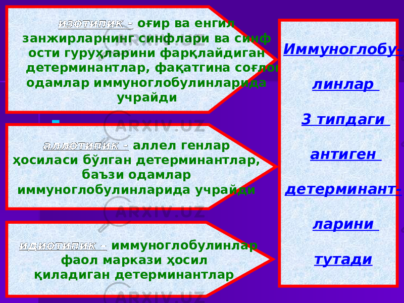  :  ;  ;  .изотипик - оғир ва енгил занжирларнинг синфлари ва синф ости гуруҳларини фарқлайдиган детерминантлар, фақатгина соғлом одамлар иммуноглобулинларида учрайди аллотипик - аллел генлар ҳосиласи бўлган детерминантлар, баъзи одамлар иммуноглобулинларида учрайди идиотипик – иммуноглобулинлар фаол маркази ҳосил қиладиган детерминантлар Иммуноглобу- линлар 3 типдаги антиген детерминант- ларини тутади 