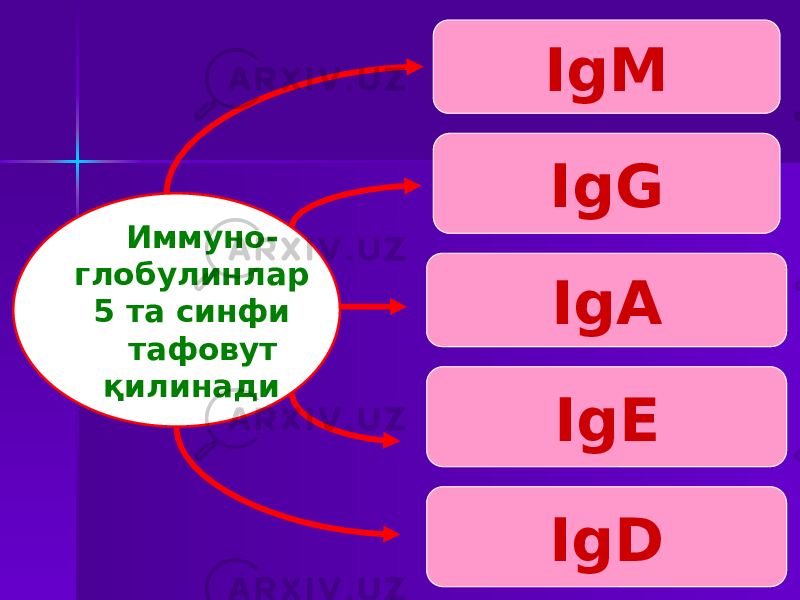  Иммуно- глобулинлар 5 та синфи тафовут қилинади IgM IgG IgD IgEIgA 