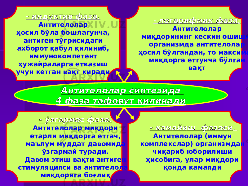 - индуктив фаза. Антителолар ҳосил бўла бошлагунча, антиген тўғрисидаги ахборот қабул қилиниб, иммунокомпетент ҳужайраларга етказиш учун кетган вақт киради - логарифмик фаза . Антителолар миқдорининг кескин ошиши, организмда антителолар ҳосил бўлгандан, то максимал миқдорга етгунча бўлган вақт - ўзгармас фаза . Антителолар миқдори етарли миқдорга етгач, маълум муддат давомида ўзгармай туради. Давом этиш вақти антиген стимуляцияси ва антителолар миқдорига боғлиқ - камайиш фазаси . Антителолар (иммун комплекслар) организмдан чиқариб юборилиши ҳисобига, улар миқдори қонда камаядиАнтителолар синтезида 4 фаза тафовут қилинади 