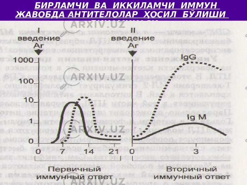 БИРЛАМЧИ ВА ИККИЛАМЧИ ИММУН ЖАВОБДА АНТИТЕЛОЛАР ҲОСИЛ БЎЛИШИ ДИНАМИКАСИ 