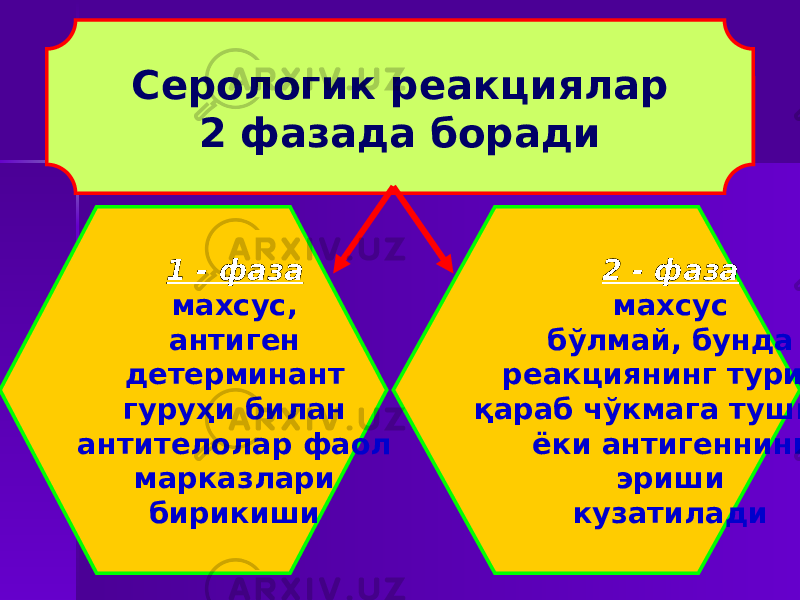 Серологик реакциялар 2 фазада боради 1 - фаза махсус, антиген детерминант гуруҳи билан антителолар фаол марказлари бирикиши 2 - фаза махсус бўлмай, бунда реакциянинг турига қараб чўкмага тушиши ёки антигеннинг эриши кузатилади 