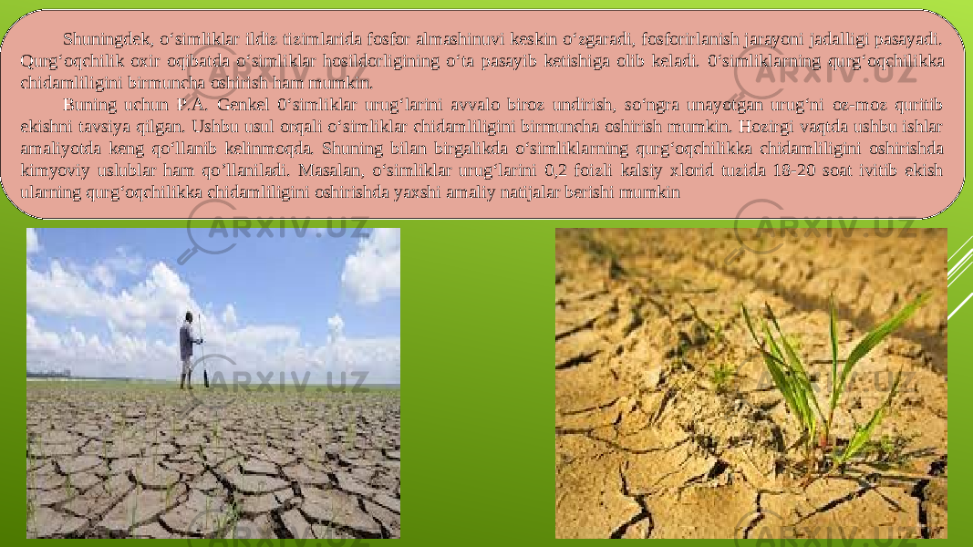 Shuningdek, o‘simliklar ildiz tizimlarida fosfor almashinuvi keskin o‘zgaradi, fosforirlanish jarayoni jadalligi pasayadi. Qurg‘oqchilik oxir oqibatda o‘simliklar hosildorligining o‘ta pasayib ketishiga olib keladi. 0‘simlikla rn ing qurg‘oqchi l ikka chidamliligini birmuncha oshirish ham mumkin. B uning uchun P.A. Genkel 0‘simliklar urug‘larini avvalo biroz undirish, so‘ngra unayotgan urug‘ni oz-moz quritib ekishni tavsiya qilgan. Ushbu usul orqali o‘simliklar chidamliligini birmuncha oshirish mumkin. Hozirgi vaqtda ushbu ishlar amaliyotda keng qo‘llanib kelinmoqda. Shuning bilan birgalikda o‘simlikla rn ing qurg‘oqchilikka chidamliligini oshirishda kimyoviy uslublar ham qo ’l laniladi. Masalan, o‘simliklar urug‘larini 0,2 foizli kalsiy xlorid tuzida 18-20 soat ivitib ekish ula rni ng qurg‘oqchilikka chidamliligini oshirishda yaxshi amaliy natijalar berishi mumkin 
