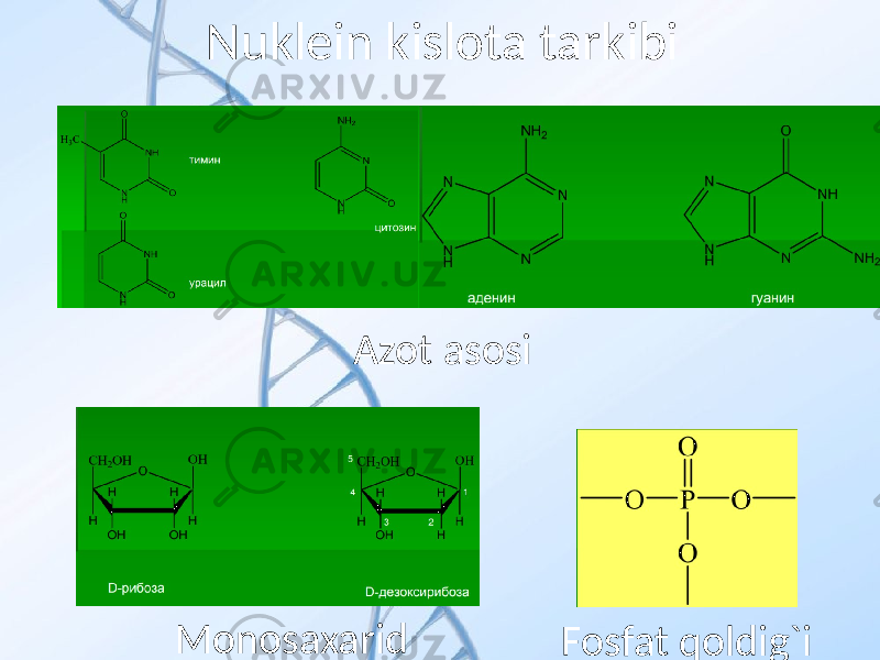 Nuklein kislota tarkibi Azot asosi Fosfat qoldig`iMonosaxarid 