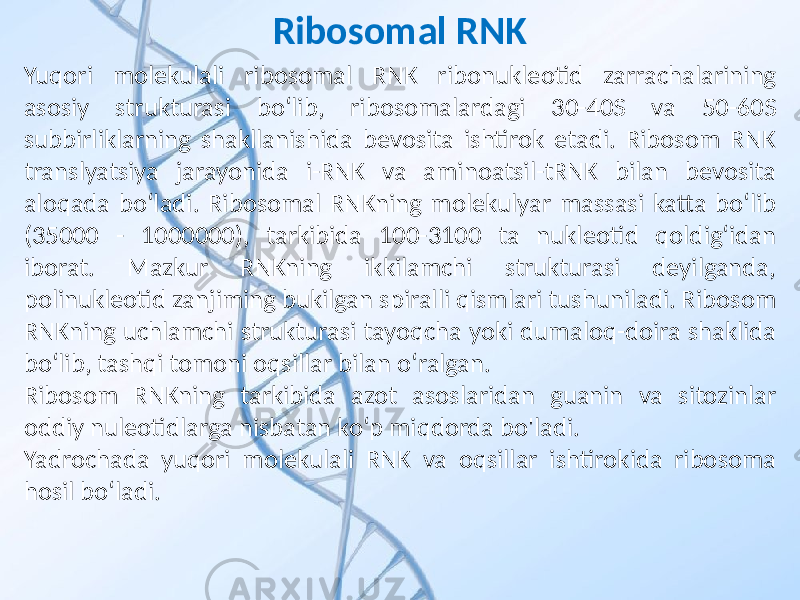 Yuqori molekulali ribosomal RNK ribonukleotid zarrachalarining asosiy strukturasi bo‘lib, ribosomalardagi 30-40S va 50-60S subbirliklarning shakllanishida bevosita ishtirok etadi. Ribosom RNK translyatsiya jarayonida i-RNK va aminoatsil-tRNK bilan bevosita aloqada bo‘ladi. Ribosomal RNKning molekulyar massasi katta bo‘lib (35000 - 1000000), tarkibida 100-3100 ta nukleotid qoldig‘idan iborat. Mazkur RNKning ikkilamchi strukturasi deyilganda, polinukleotid zanjiming bukilgan spiralli qismlari tushuniladi. Ribosom RNKning uchlamchi strukturasi tayoqcha yoki dumaloq-doira shaklida bo‘lib, tashqi tomoni oqsillar bilan o‘ralgan. Ribosom RNKning tarkibida azot asoslaridan guanin va sitozinlar oddiy nuleotidlarga nisbatan ko‘p miqdorda bo&#39;ladi. Yadrochada yuqori molekulali RNK va oqsillar ishtirokida ribosoma hosil bo‘ladi. Ribosomal RNK 