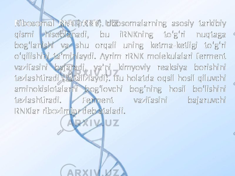 Ribosomal RNK ( rRNK ) ribosomalarning asosiy tarkibiy qismi hisoblanadi, bu iRNKning toʻgʻri nuqtaga bogʻlanishi va shu orqali uning ketma-ketligi toʻgʻri oʻqilishini taʼminlaydi. Ayrim rRNK molekulalari ferment vazifasini bajaradi, yaʼni kimyoviy reaksiya borishini tezlashtiradi (katalizlaydi). Bu holatda oqsil hosil qiluvchi aminokislotalarni bogʻlovchi bogʻning hosil boʻlishini tezlashtiradi. Ferment vazifasini bajaruvchi RNKlar ribozimlar deb ataladi. 