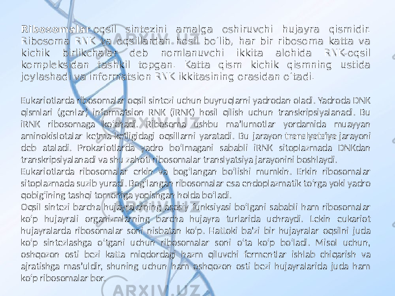 Ribosomalar  oqsil sintezini amalga oshiruvchi hujayra qismidir. Ribosoma RNK va oqsillardan hosil boʻlib, har bir ribosoma katta va kichik birlikchalar deb nomlanuvchi ikkita alohida RNK-oqsil kompleksidan tashkil topgan. Katta qism kichik qismning ustida joylashadi va informatsion RNK ikkitasining orasidan oʻtadi. Eukariotlarda ribosomalar oqsil sintezi uchun buyruqlarni yadrodan oladi. Yadroda DNK qismlari (genlar) informatsion RNK (iRNK) hosil qilish uchun transkripsiyalanadi. Bu iRNK ribosomaga koʻchadi. Ribosoma ushbu maʼlumotlar yordamida muayyan aminokislotalar ketma-ketligidagi oqsillarni yaratadi. Bu jarayon translyatsiya jarayoni deb ataladi. Prokariotlarda yadro boʻlmagani sababli iRNK sitoplazmada DNKdan transkripsiyalanadi va shu zahoti ribosomalar translyatsiya jarayonini boshlaydi. Eukariotlarda ribosomalar erkin va bogʻlangan boʻlishi mumkin. Erkin ribosomalar sitoplazmada suzib yuradi. Bogʻlangan ribosomalar esa endoplazmatik toʻrga yoki yadro qobigʻining tashqi tomoniga yopishgan holda boʻladi. Oqsil sintezi barcha hujayralarning asosiy funksiyasi boʻlgani sababli ham ribosomalar koʻp hujayrali organizmlarning barcha hujayra turlarida uchraydi. Lekin eukariot hujayralarda ribosomalar soni nisbatan koʻp. Hattoki baʼzi bir hujayralar oqsilni juda koʻp sintezlashga oʻtgani uchun ribosomalar soni oʻta koʻp boʻladi. Misol uchun, oshqozon osti bezi katta miqdordagi hazm qiluvchi fermentlar ishlab chiqarish va ajratishga masʼuldir, shuning uchun ham oshqozon osti bezi hujayralarida juda ham koʻp ribosomalar bor. 