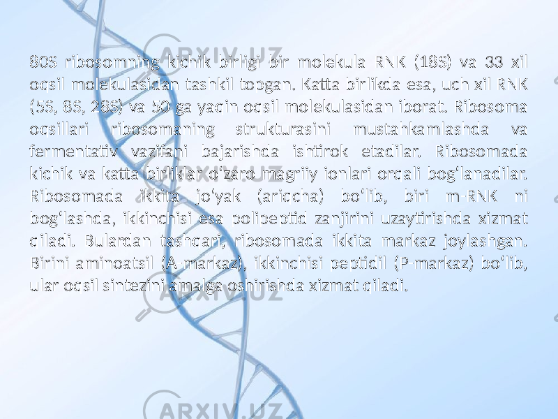 80S ribosomning kichik birligi bir molekula RNK (18S) va 33 xil oqsil molekulasidan tashkil topgan. Katta birlikda esa, uch xil RNK (5S, 8S, 28S) va 50 ga yaqin oqsil molekulasidan iborat. Ribosoma oqsillari ribosomaning strukturasini mustahkamlashda va fermentativ vazifani bajarishda ishtirok etadilar. Ribosomada kichik va katta birliklar o‘zaro magriiy ionlari orqali bog‘lanadilar. Ribosomada ikkita jo‘yak (ariqcha) bo‘lib, biri m-RNK ni bog‘lashda, ikkinchisi esa polipeptid zanjirini uzaytirishda xizmat qiladi. Bulardan tashqari, ribosomada ikkita markaz joylashgan. Birini aminoatsil (A-markaz), ikkinchisi peptidil (P-markaz) bo‘lib, ular oqsil sintezini amalga oshirishda xizmat qiladi. 