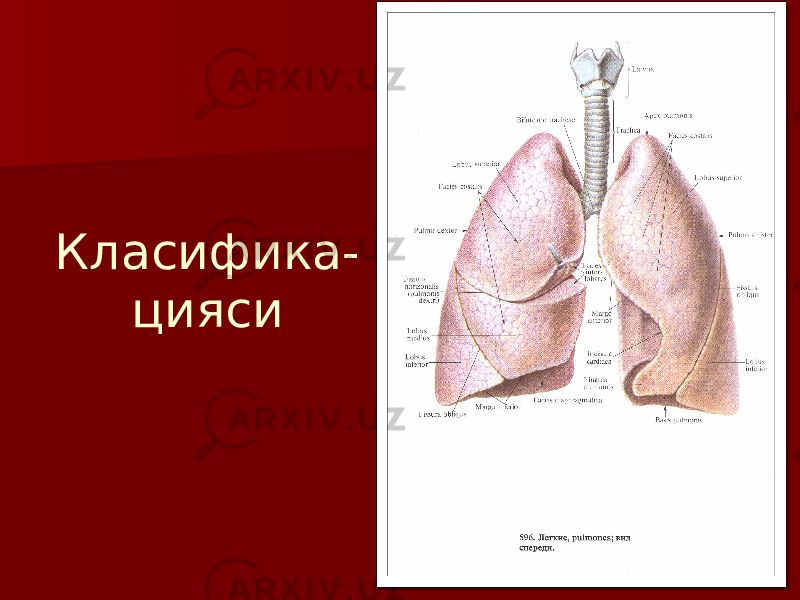 Класифика- цияси 