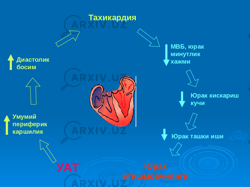 УАТ Умумий периферик каршилик Диастолик босим Тахикардия МВБ, юрак минутлик хажми Юрак кискариш кучи Юрак ташки иши Юрак етишмовчилиги 