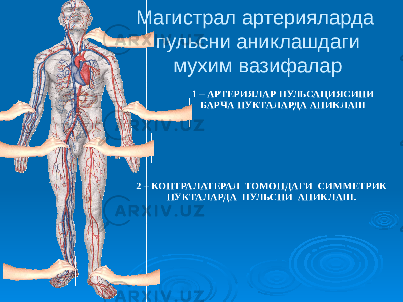 Магистрал артерияларда пульсни аниклашдаги мухим вазифалар 1 – АРТЕРИЯЛАР ПУЛЬСАЦИЯСИНИ БАРЧА НУКТАЛАРДА АНИКЛАШ 2 – КОНТРАЛАТЕРАЛ ТОМОНДАГИ СИММЕТРИК НУКТАЛАРДА ПУЛЬСНИ АНИКЛАШ. 