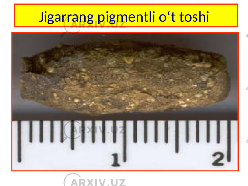 Jigarrang pigmentli o‘t toshi 